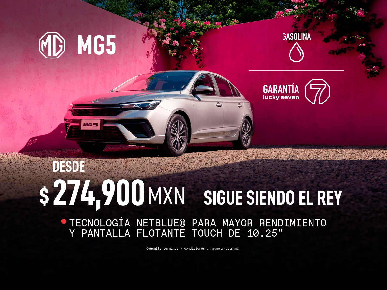 Muy pronto, promociones exclusivas para ti.
